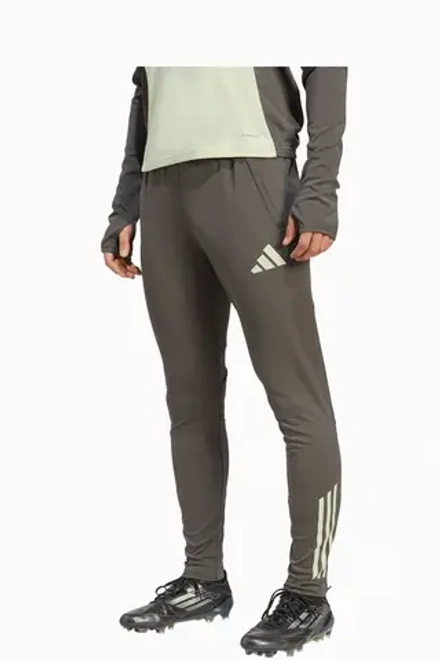 Штаны adidas Real Madrid 25/26 Competition Training - размер M