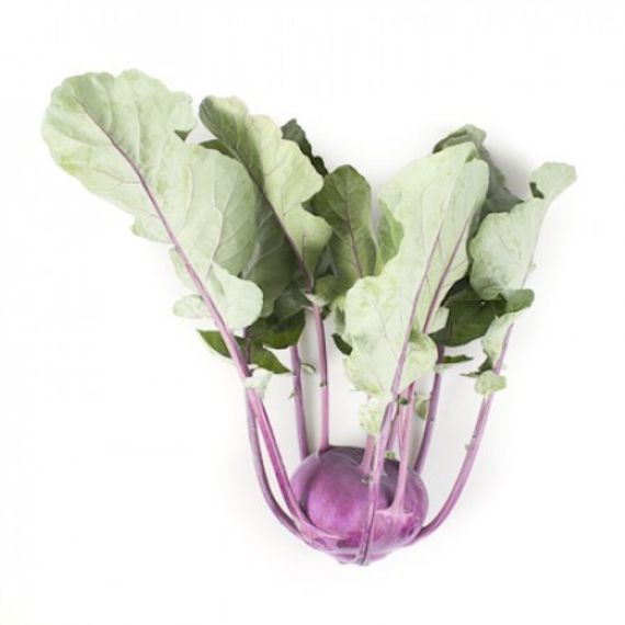 УКЗА F1 семена капусты кольраби Rijk Zwaan цена