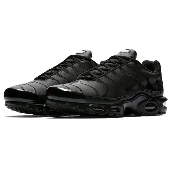 Кроссовки Nike Air Max Plus Мужские