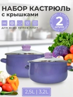 Набор кастрюль с крышками 2 шт.