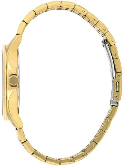 Наручные часы Citizen BF2022-55H