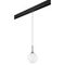 Комплект с трековым светильником Lightstar Globo (813022+595007) PRO813022