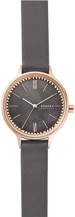 Женские наручные часы Skagen SKW2909