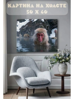 Картина на стену 40 X 50 Обезьяна