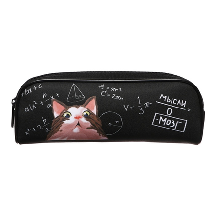 Школьный пенал на молнии кожаный