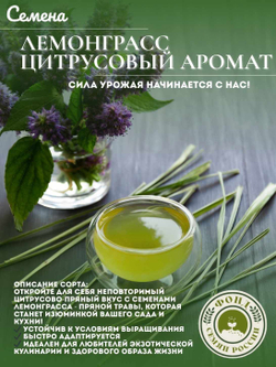 Набор семян для посадки, Петрушка, 5-ти сортов, 10гр. семян.