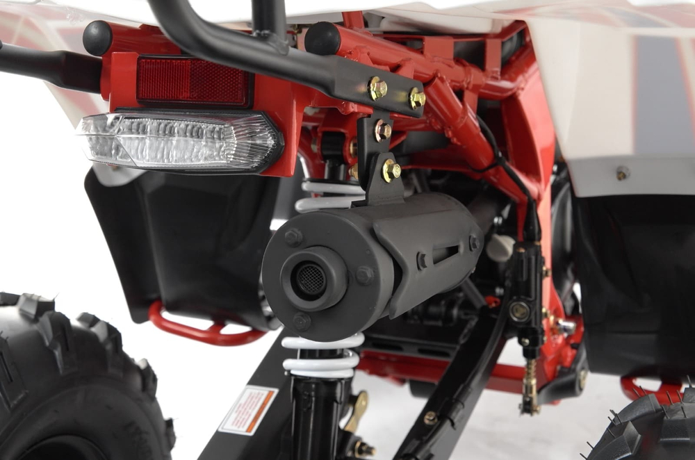 Квадроцикл MOTAX Grizlik A125