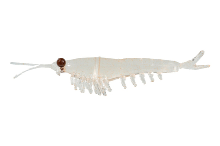 Приманка NIKKO Okiami Shrimp L 58мм #Clear Brown
