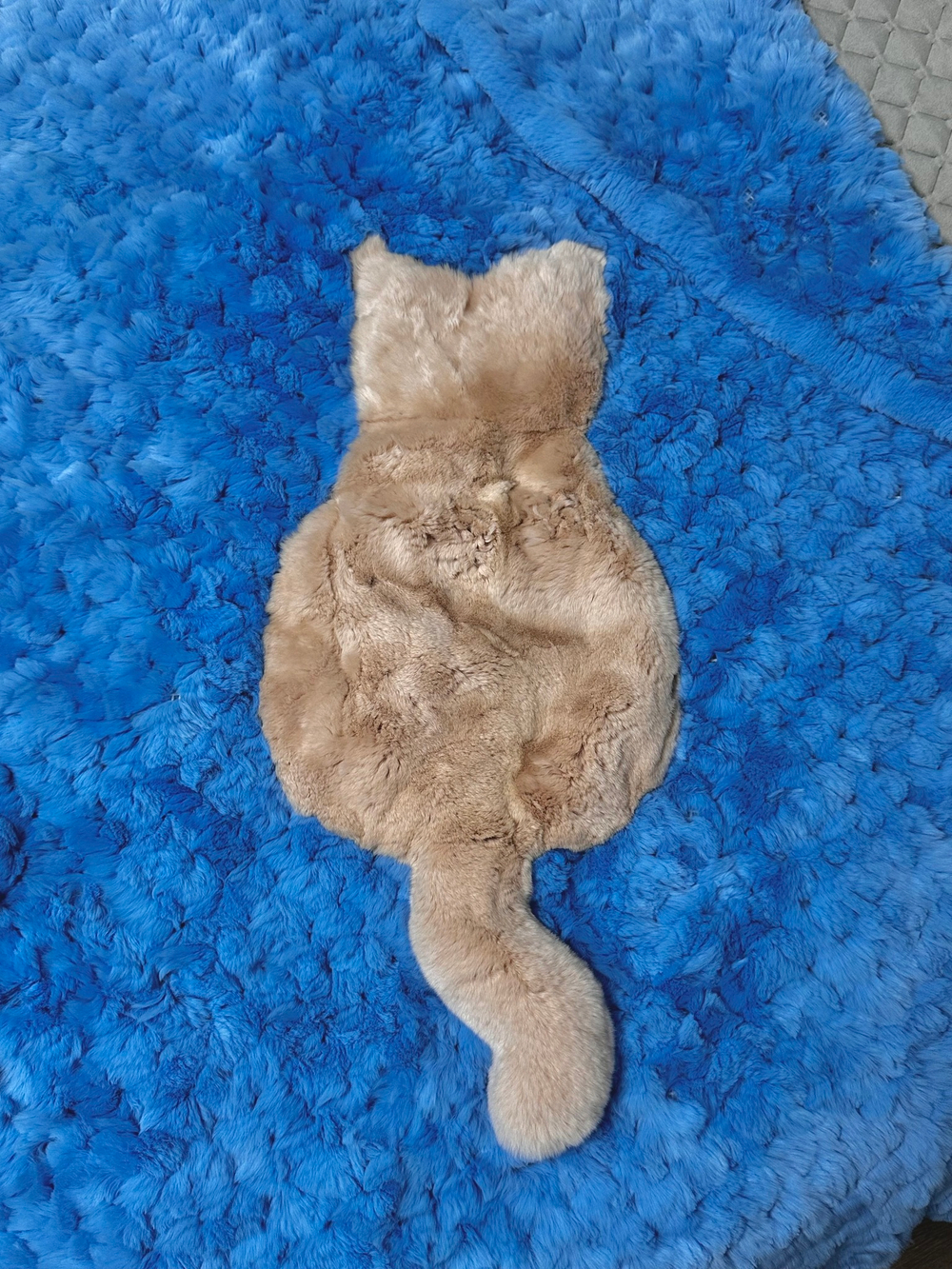 Вязаный детский плед из натурального меха рекс "Котик" 120х80 см (голубой)