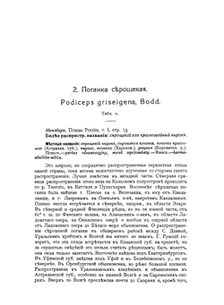 Охотничьи и промысловыя птицы европейской России и Кавказа. Том 1 | М. А. Мензбир