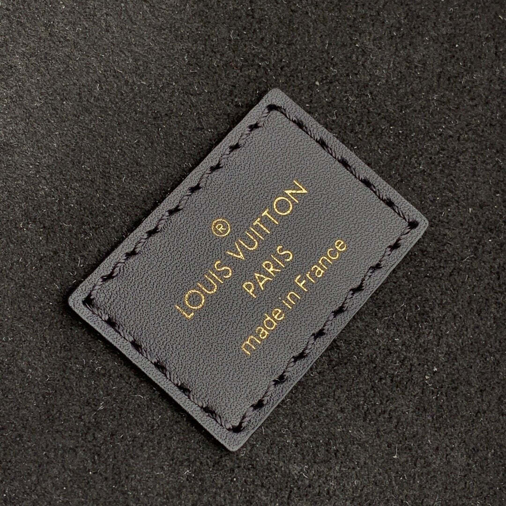 Louis Vuitton Montsouris Backpack PM