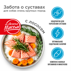 Корм сухой для взрослых собак очень крупных пород, премиум полнорационный комплекс, забота о суставах, с лососем, 2,5 кг, QUATTRO