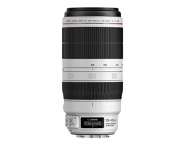 Объектив Canon EF 100-400mm f/4.5-5.6L IS II USM