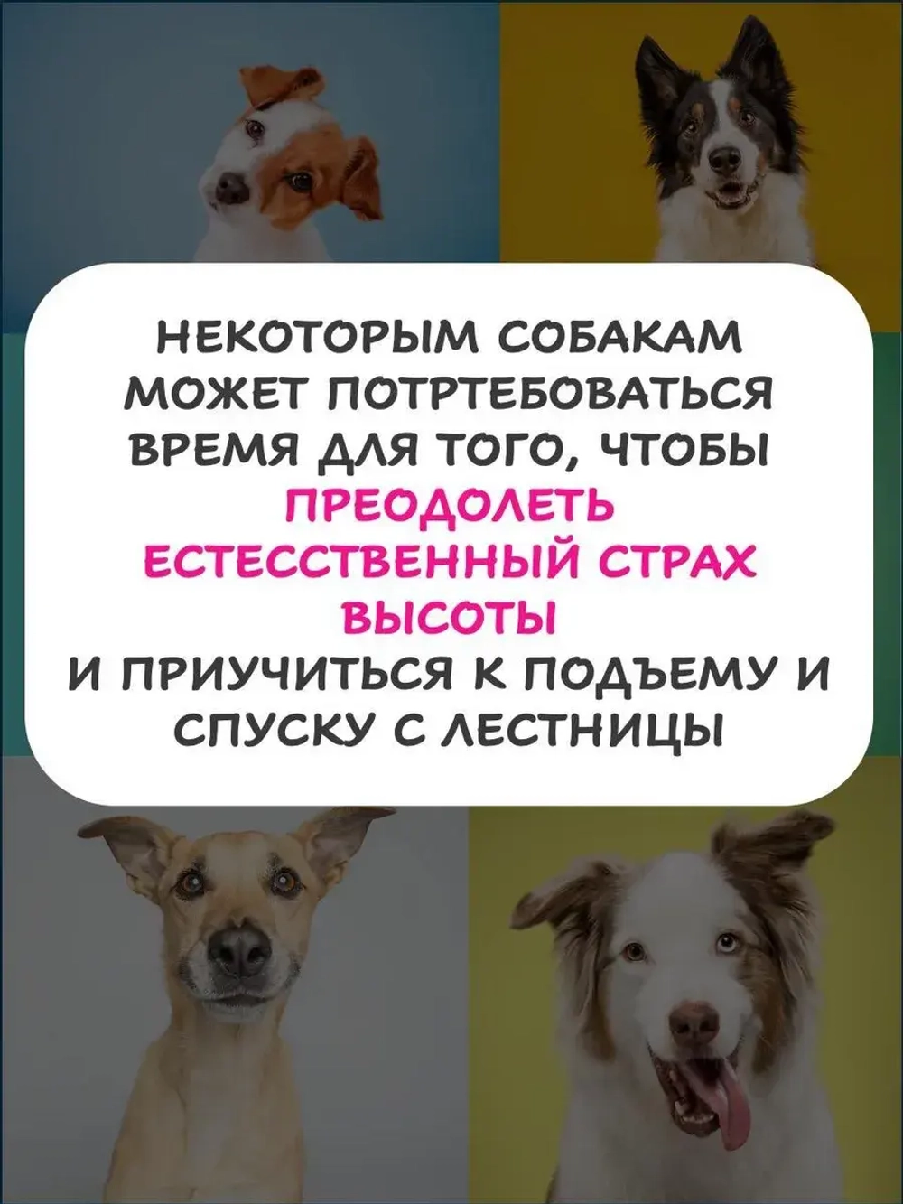 Лестница в ванну для собак средних и крупных пород