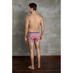 Мужские боксеры принт Cool Forever Doreanse 1837