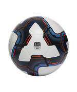 Мяч футзальный Inspire №4, белый