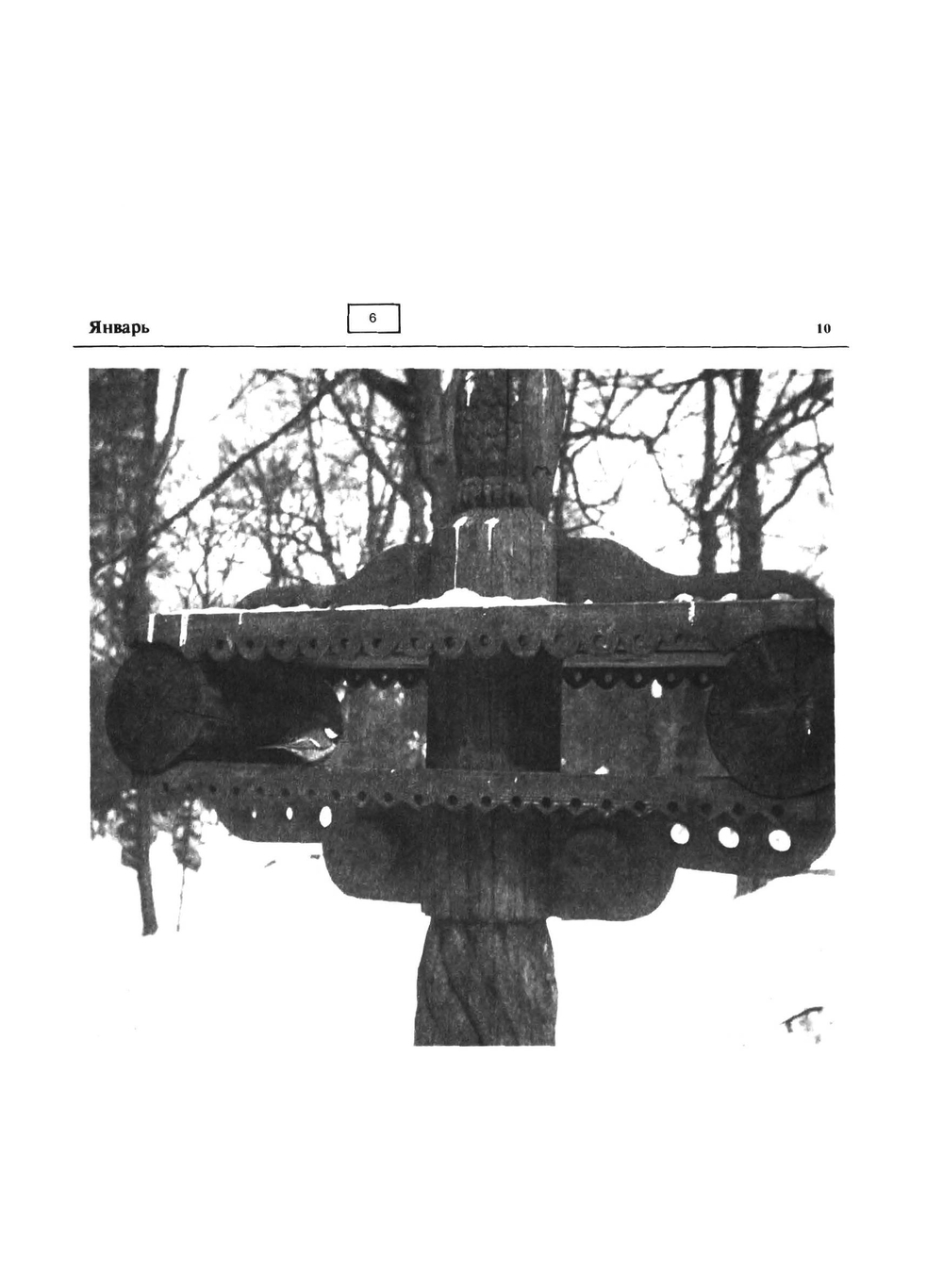 Приусадебный сад | Б.А. Попов