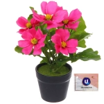 Цветочная композиция «Поцелуй лета» Космея ярко-розовая 20см