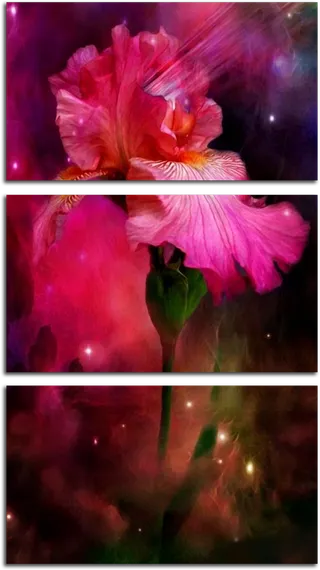 Модульная картина "Космический цветок"