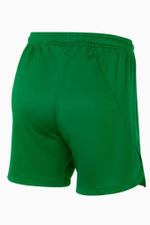 Шорты Nike Team Handball Court