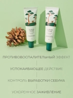 Round Lab Успокаивающий крем с сосной и центеллой: против воспалений и покраснений Pine Calming Cica Cream 50 мл