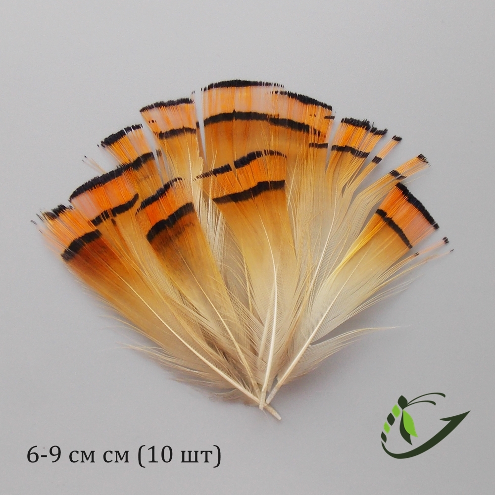 Шейные перья золотого фазана Golden Pheasant Tippets (10 шт)
