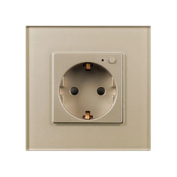 Розетка электрическая с Zigbee управлением SCT-OMALI-EUZB1-PL-GD (240V, 16A, Zigbee) (Arlight, -) 050218