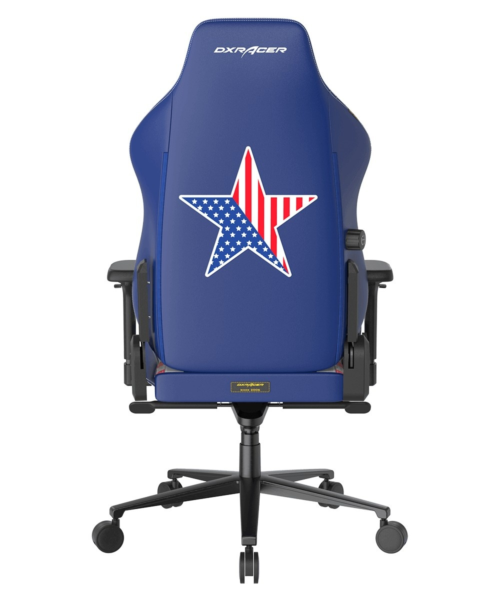 Кресло игровое DXRacer Craft CRA/DXL5000/G, Серый