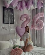 Воздушные шары №8293