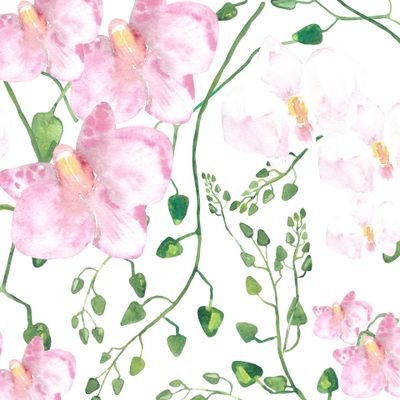 Орхидеи розовые и белые