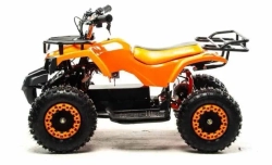 Электроквадроцикл Motoland ATV E009 1000W