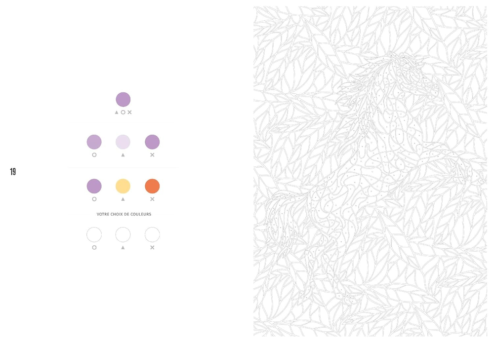 Hachette раскраска по номерам Coloriages mystères - раскраски на символе-Том 2