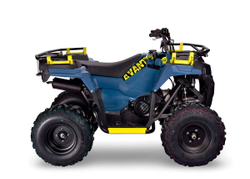 Квадроцикл AVANTIS Ray 200 Basic