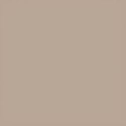 Коляска 2 в 1 Carrello Alfa 2025 CRL-6522 Natural Beige