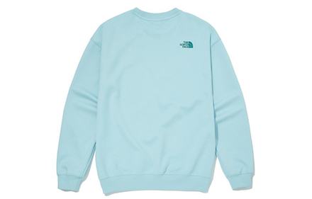 Толстовки THE NORTH FACE Logo, NM5MM02M