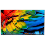 Гостиничный телевизор Philips 65HFL6214U/12