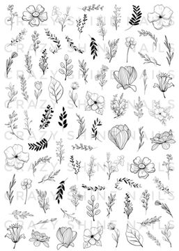 Слайдер-дизайн Crazy Shine Nails mini: ЧБ цветы