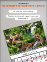 Настенный квартальный трехблочный календарь "Леопарды"