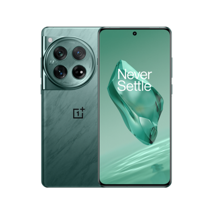 OnePlus 12 12/256Gb Flowy Emerald