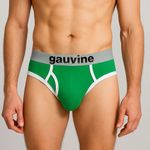 Мужские трусы брифы зеленые GAUVINE 2002