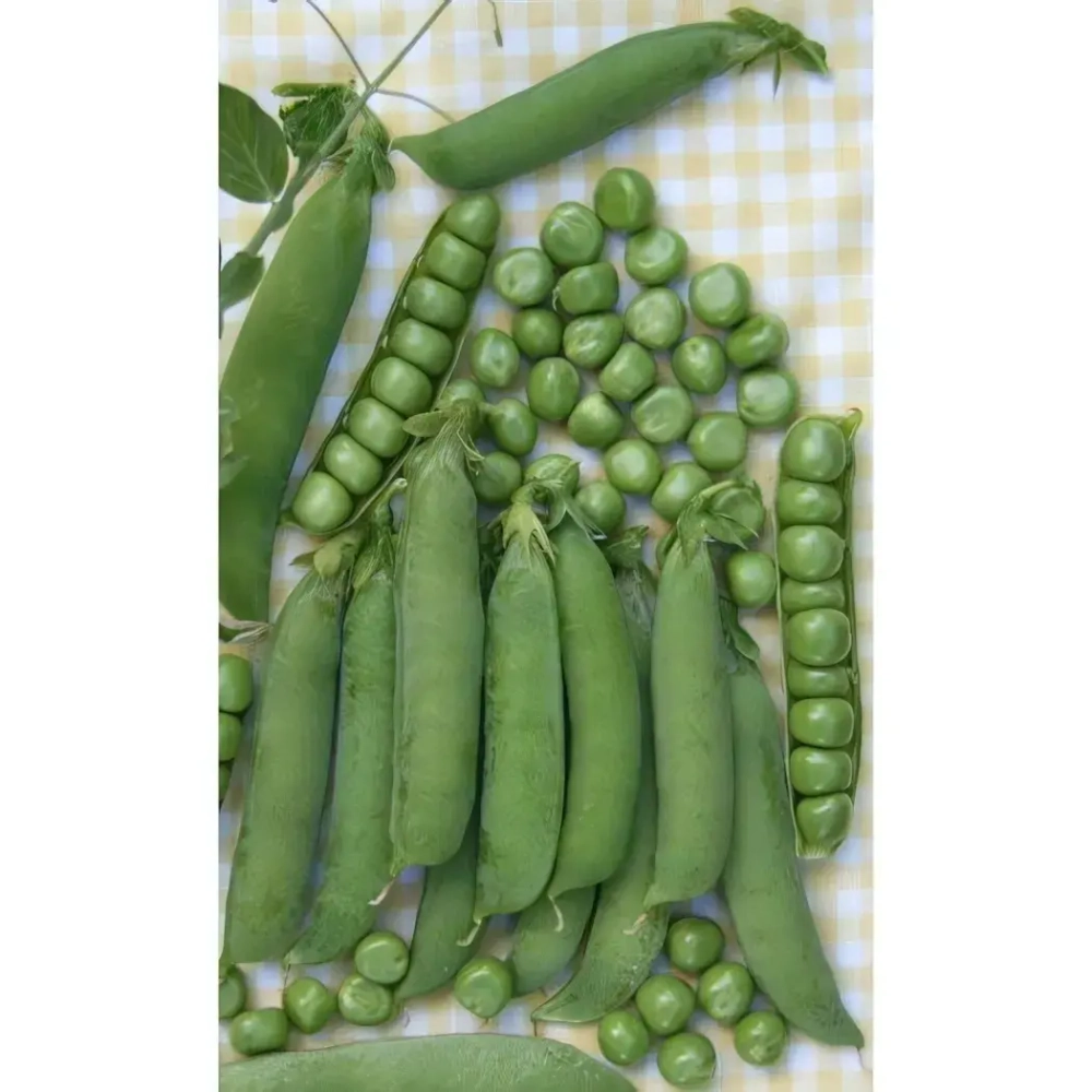 Семена Горох Ранний 301 - овощной (Марс) 5гр Б/П