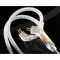 Celest Wyvern Pro White Green