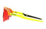 Oakley Plastic Irregular Shape Очки