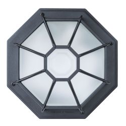 Уличный потолочный светильник Arte Lamp