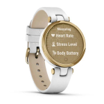 Часы Garmin Lily Classic Light Gold/White, светло-золотистый безель, белый корпус и итальянский кожаный ремешок, 010-02384-B3