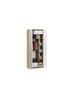 Прихожая с зеркалом Дуб Крафт золотой 245х43х226