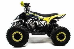 Квадроцикл Motoland 125 RAPTOR A