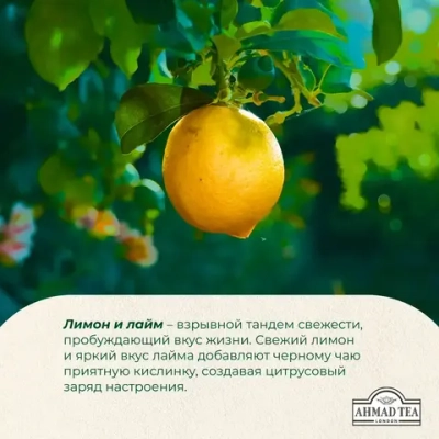 Чай в пакетиках чёрный Ahmad Tea Citrus Sensation, 25 шт