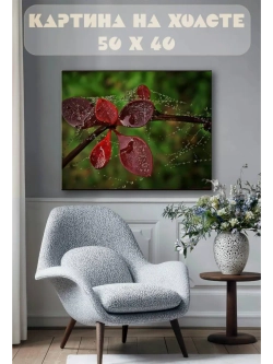 Картина на стену 40 X 50 Листья и роса