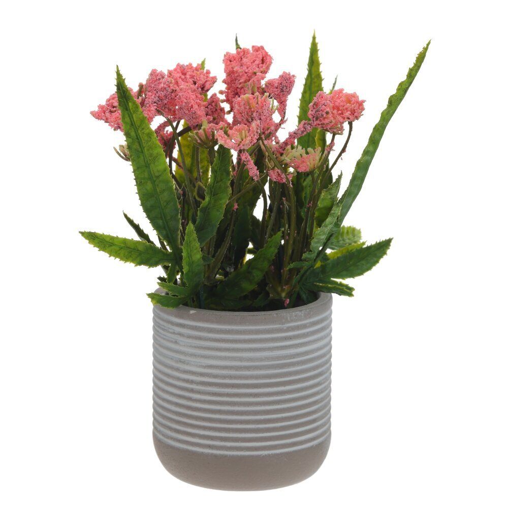 GAEM Цветочная композиция, L9 W9 H18 см, 5в.